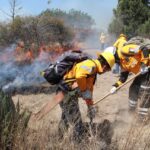Labores preventivas, permiten resultados exitosos de la Policía Forestal